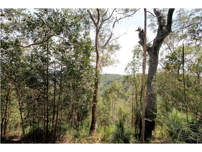 Lot 125 Ruckers Road, Laceys Creek QLD 4521