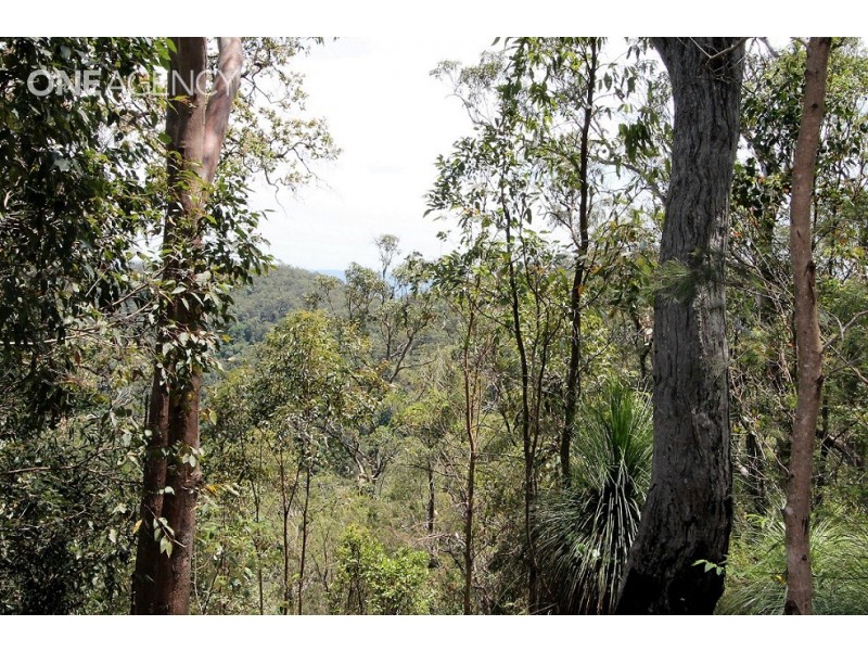 Lot 125 Ruckers Road, Laceys Creek QLD 4521