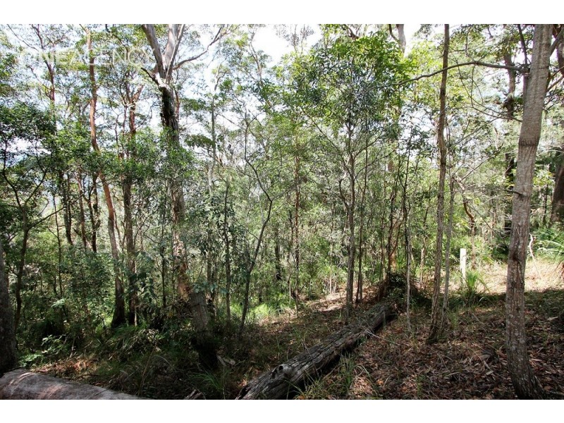 Lot 125 Ruckers Road, Laceys Creek QLD 4521