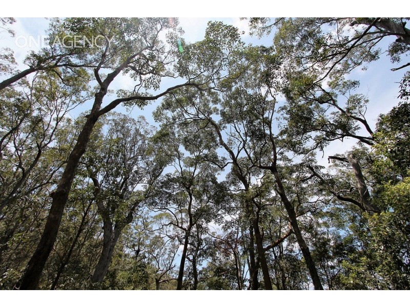 Lot 125 Ruckers Road, Laceys Creek QLD 4521