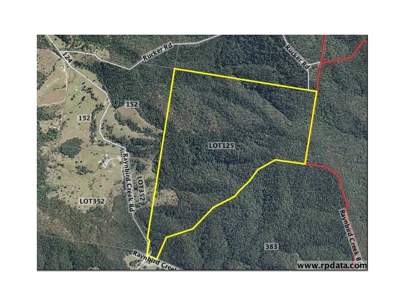 Lot 125 Ruckers Road, Laceys Creek QLD 4521