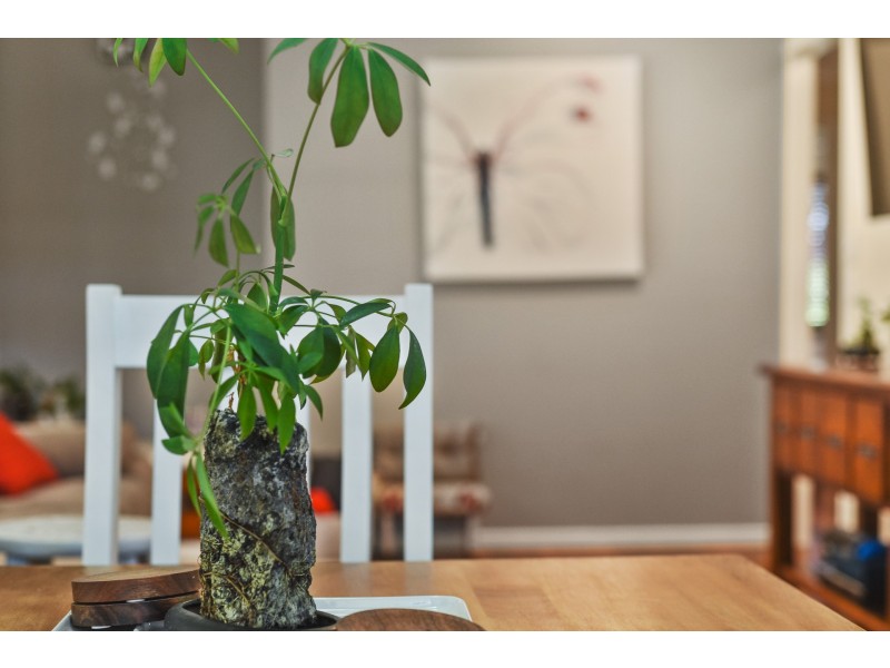 19 Greenaway Street, Lawnton QLD 4501