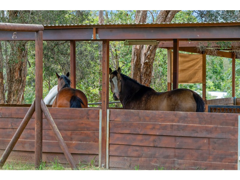 10 Arnan Court, Samford Valley QLD 4520