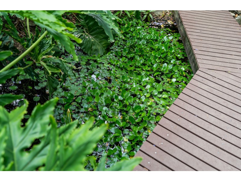 10 Arnan Court, Samford Valley QLD 4520