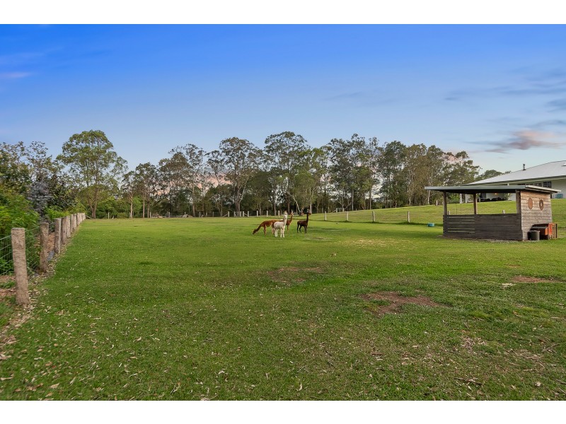 18 Kim Kerin Place, Wights Mountain QLD 4520