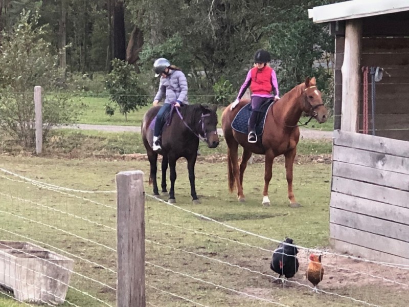 18 Kim Kerin Place, Wights Mountain QLD 4520