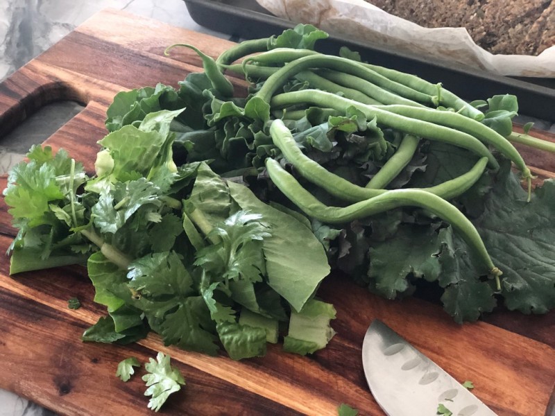 18 Kim Kerin Place, Wights Mountain QLD 4520