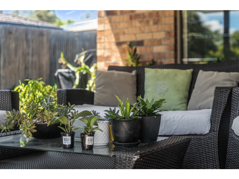 3 Katelyn Court, Cashmere QLD 4500