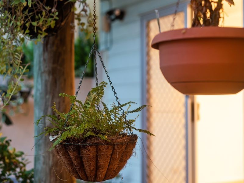 72 Dutton Street, Hawthorne QLD 4171