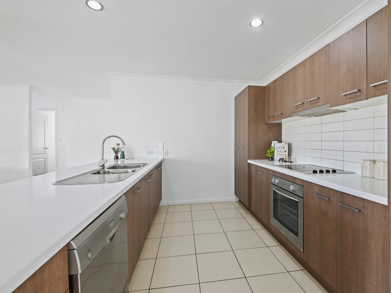 14 Leopardtree Drive, Upper Caboolture QLD 4510