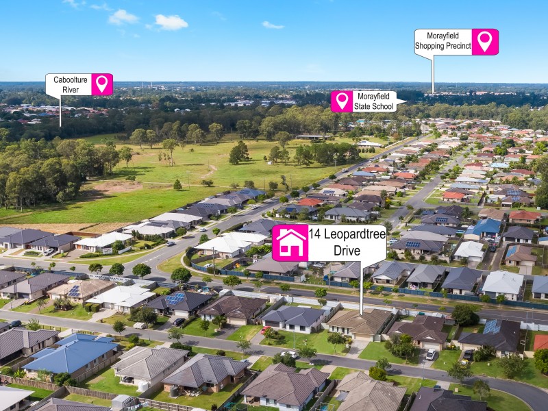 14 Leopardtree Drive, Upper Caboolture QLD 4510