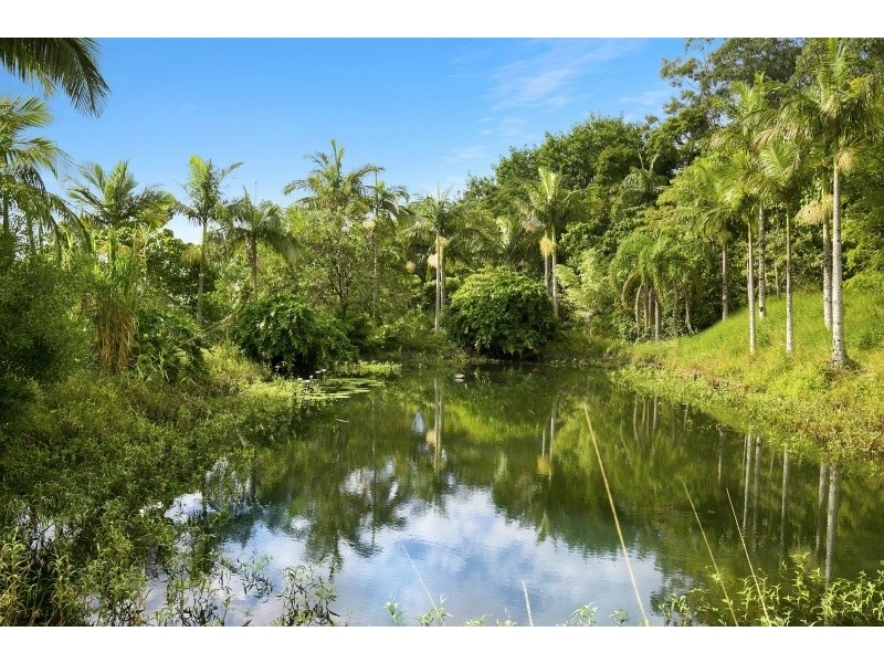 720 Tomewin Mountain Road, Currumbin Valley QLD 4223