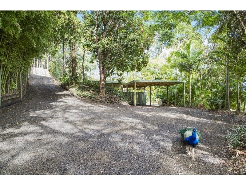 720 Tomewin Mountain Road, Currumbin Valley QLD 4223