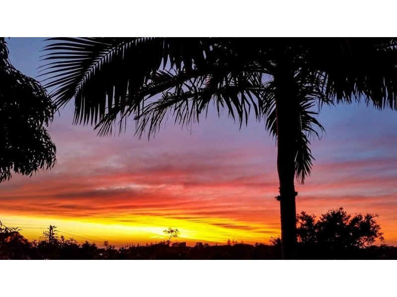 19 Nangana Street, Tugun QLD 4224