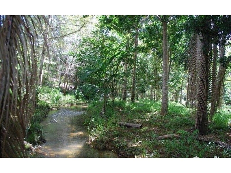 13 Pigeonberry Road, Nobbys Creek NSW 2484