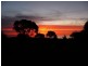 2 Settlers Lane, Tickera SA 5555
