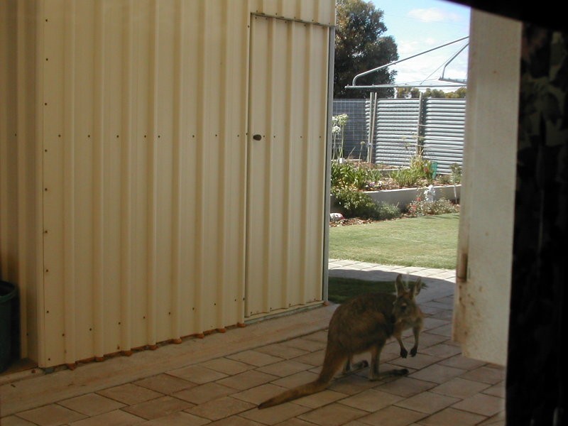 2 Settlers Lane, Tickera SA 5555