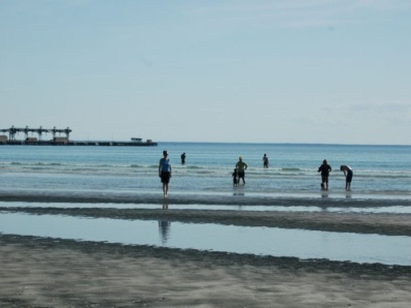 54 Islesworth Street, North Beach SA 5556