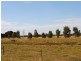 Lot 100 Public Road, Clinton SA 5570