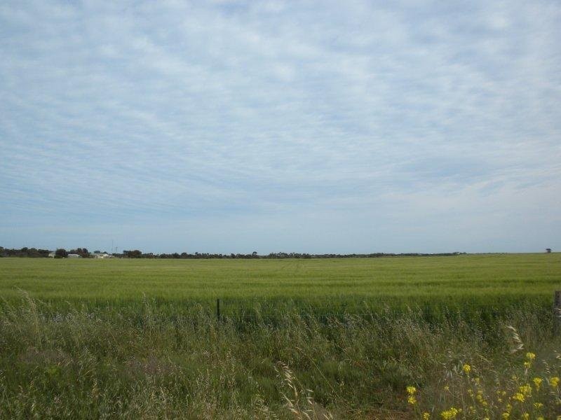 Sec 1172 Chapman Road, Moonta Bay SA 5558