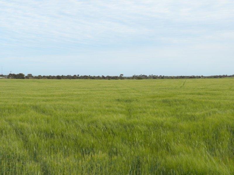 Sec 1172 Chapman Road, Moonta Bay SA 5558