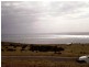 15 Fleurieu Avenue, Cape Jervis SA 5204