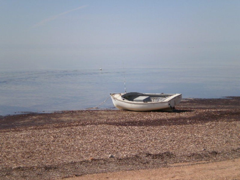 10 The Esplanade, Tickera SA 5555