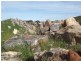 Section 111 Port Vincent Road, Minlaton SA 5575