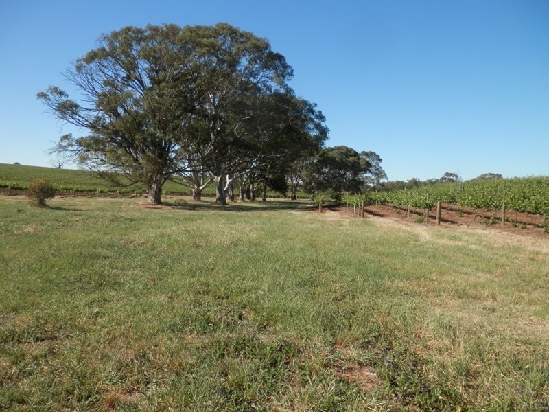 Lot 300 & 301 Burra Street, Mintaro SA 5415