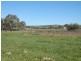 Lot 300 & 301 Burra Street, Mintaro SA 5415