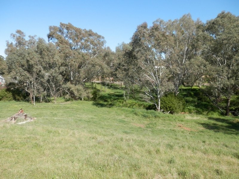 Lot 300 & 301 Burra Street, Mintaro SA 5415