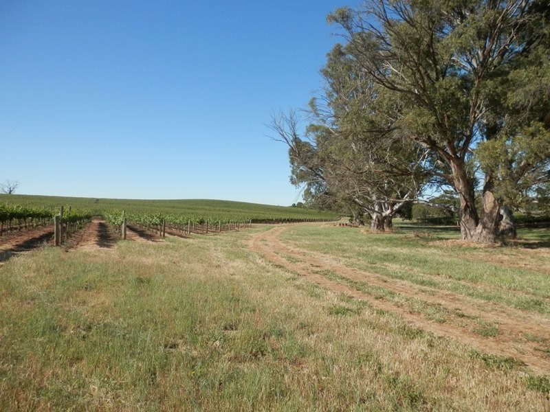 Lot 300 & 301 Burra Street, Mintaro SA 5415