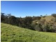 Section 469 Survey Road, Melrose SA 5483