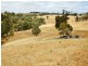 Section 469 Survey Road, Melrose SA 5483