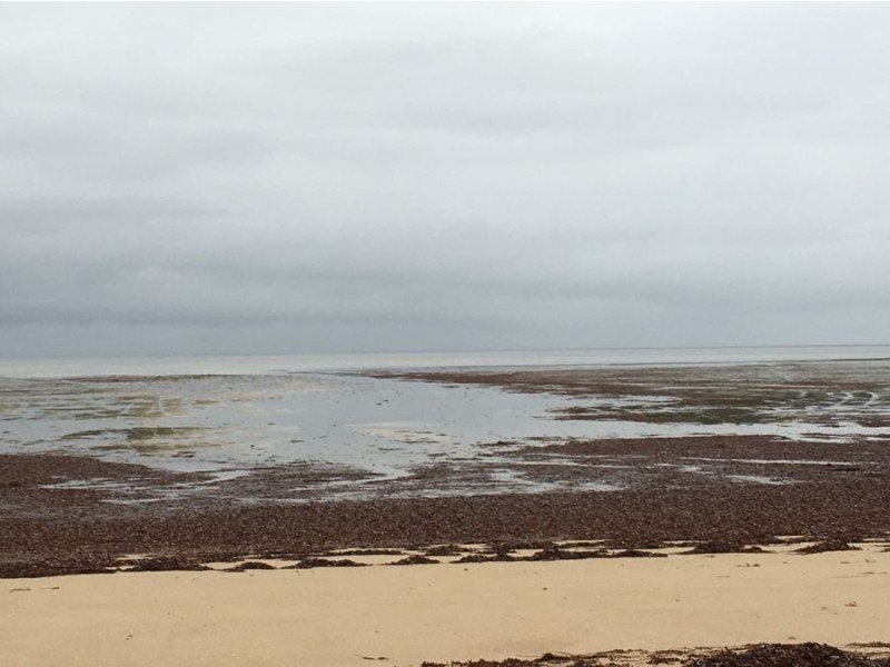 Lot 179 The Esplanade, Thompson Beach SA 5501
