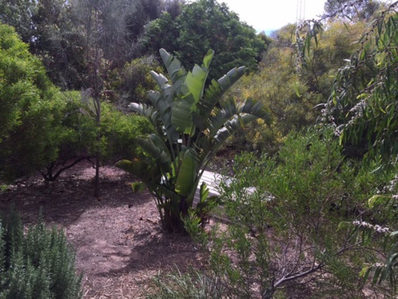 31 TRELAWNEY ST, Moonta Bay SA 5558