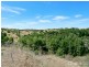 13 Spinks Road, Marino SA 5049