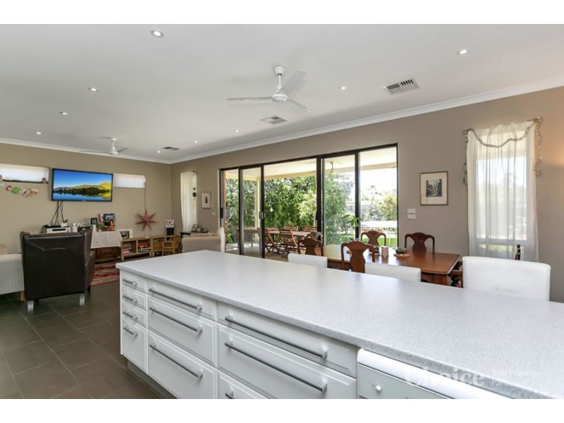 6 Tilden Street, Plympton SA 5038