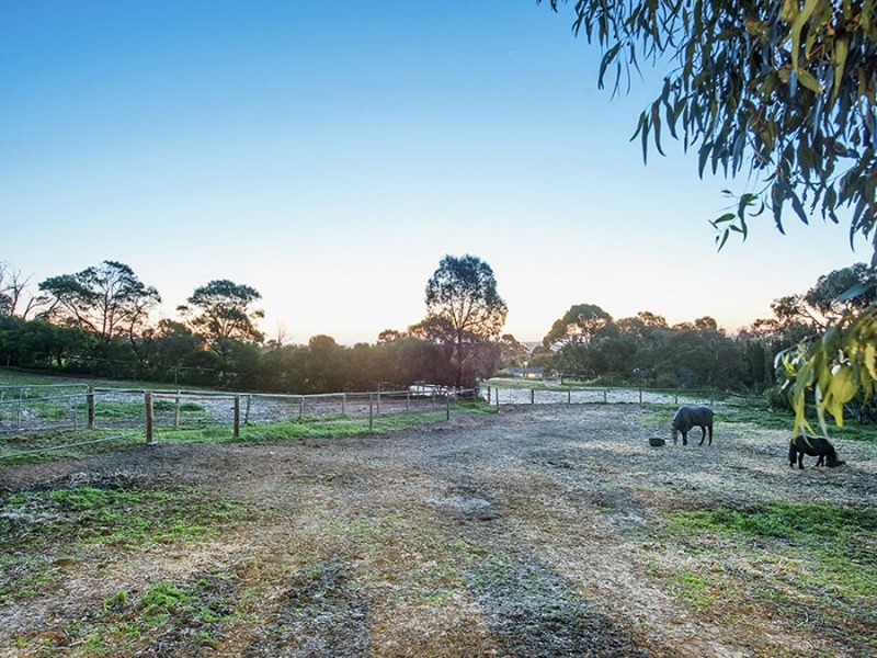 536 Grenfell Road, Fairview Park SA 5126