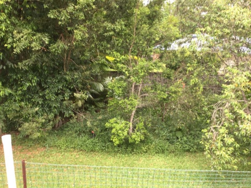 10A Treetop Court, Mooloolah Valley QLD 4553