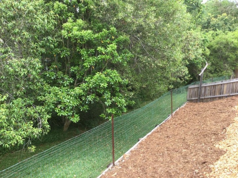 10A Treetop Court, Mooloolah Valley QLD 4553