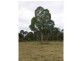 Lot 101 Crumpton Drive, Blackbutt QLD 4306