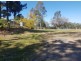 159 Hodgens Road, Bald Knob QLD 4552