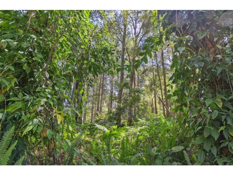 11 Bottlebrush Court, Peachester QLD 4519