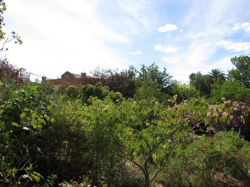 57 Bowden Street, Castlemaine VIC 3450