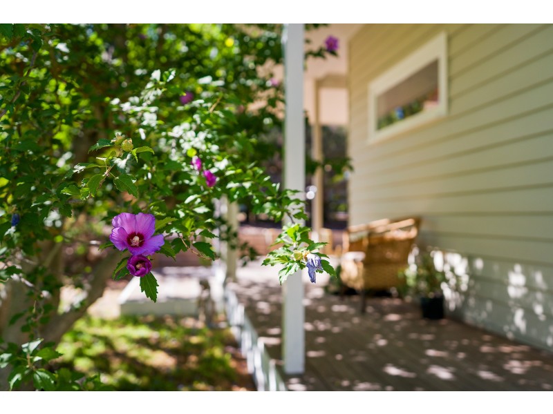 12 Wheeler Street, Castlemaine VIC 3450