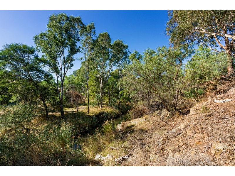 21 Britton Street, Castlemaine VIC 3450