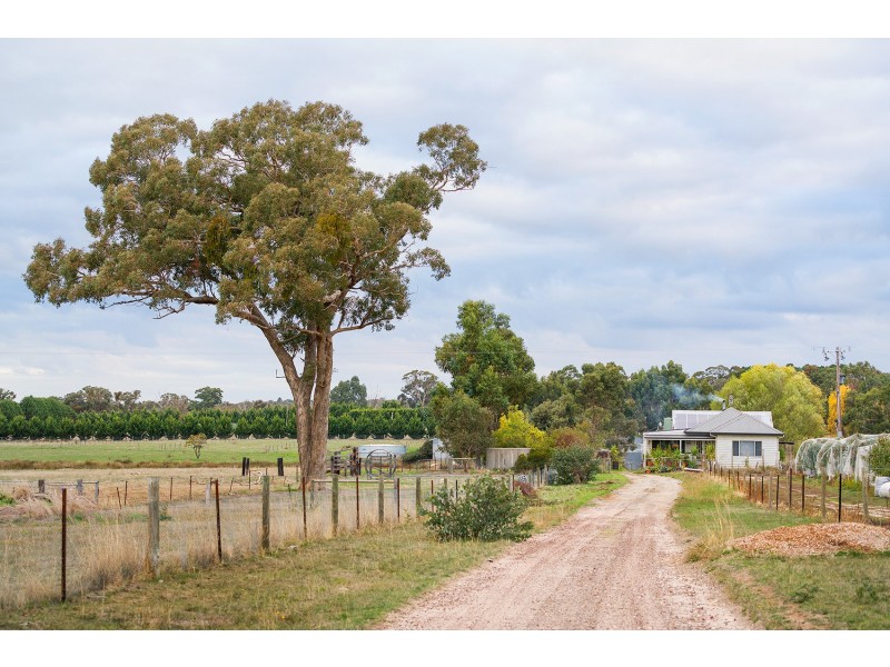 93 Fryes Road, Elphinstone VIC 3448