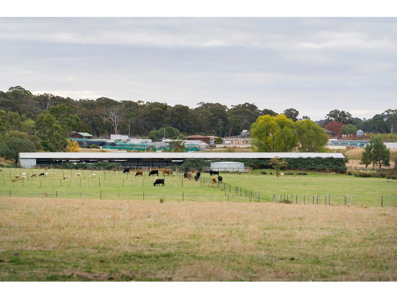 93 Fryes Road, Elphinstone VIC 3448