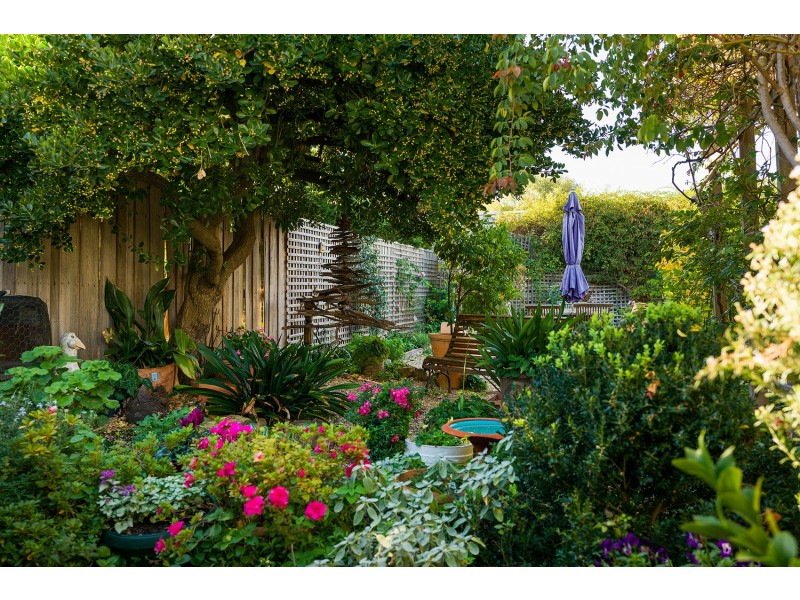4 Lyttleton Avenue, Castlemaine VIC 3450